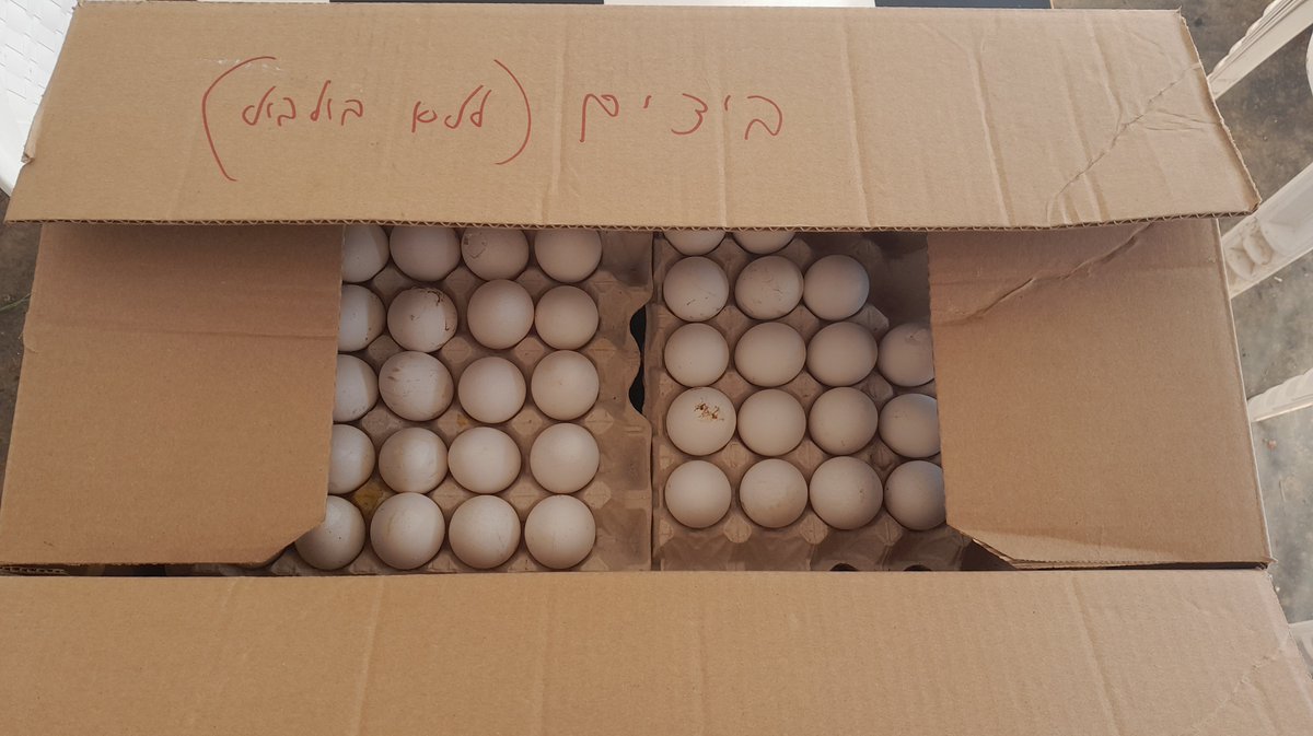 Avneritamar's tweet photo. המציאות דפקה בדלת וקראה לנו להיות שוב בני 18. אנחנו רק מילאנו את פקודתה: https://t.co/WPEiqfmVz2