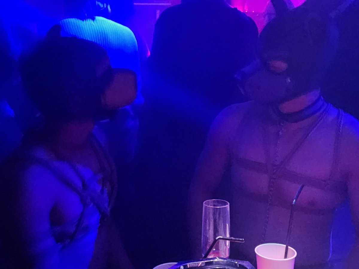 비디즘 파티 너무 좋았습니다 🪢
<a href="/TightHall_Busan/">타이트홀</a>

같이 사진찍은 🐶🐶
 <a href="/toni41981495/">토니(TONI)</a> <a href="/a_pieu_/">어푸</a>