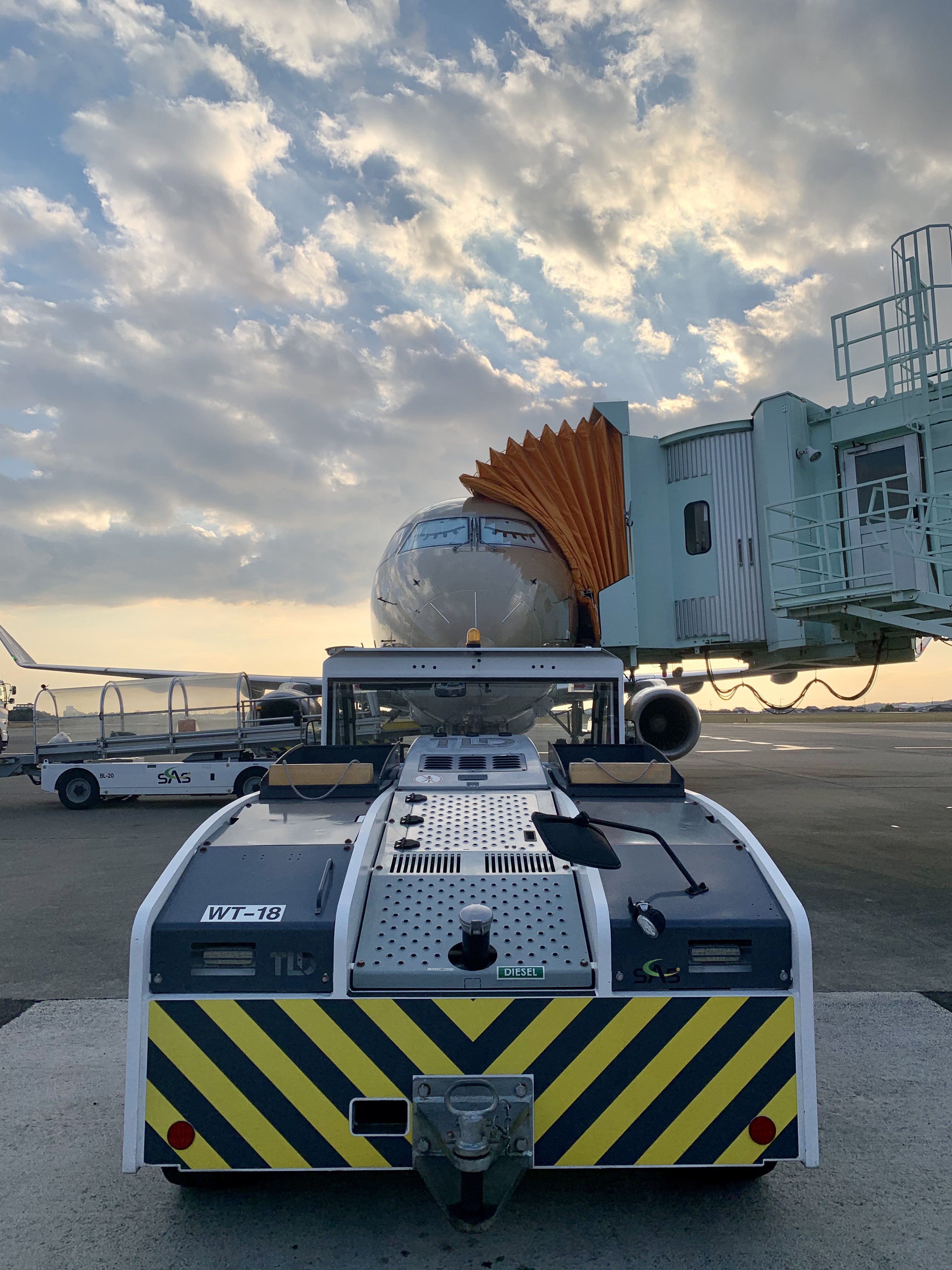 南アフリカ航空機ガラス細工就航記念激レア客室乗務員パイロットエアライン好きな方 ビッグ割引 南アフリカ航空機ガラス細工就航記念激レア客室