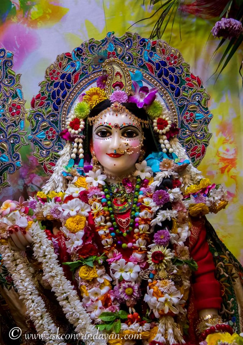 theholy_monk's tweet photo. 🍎🫐🪷Jai Sri Radhe 🪷🫐🍎 https://t.co/s8Gdhi1Kh4