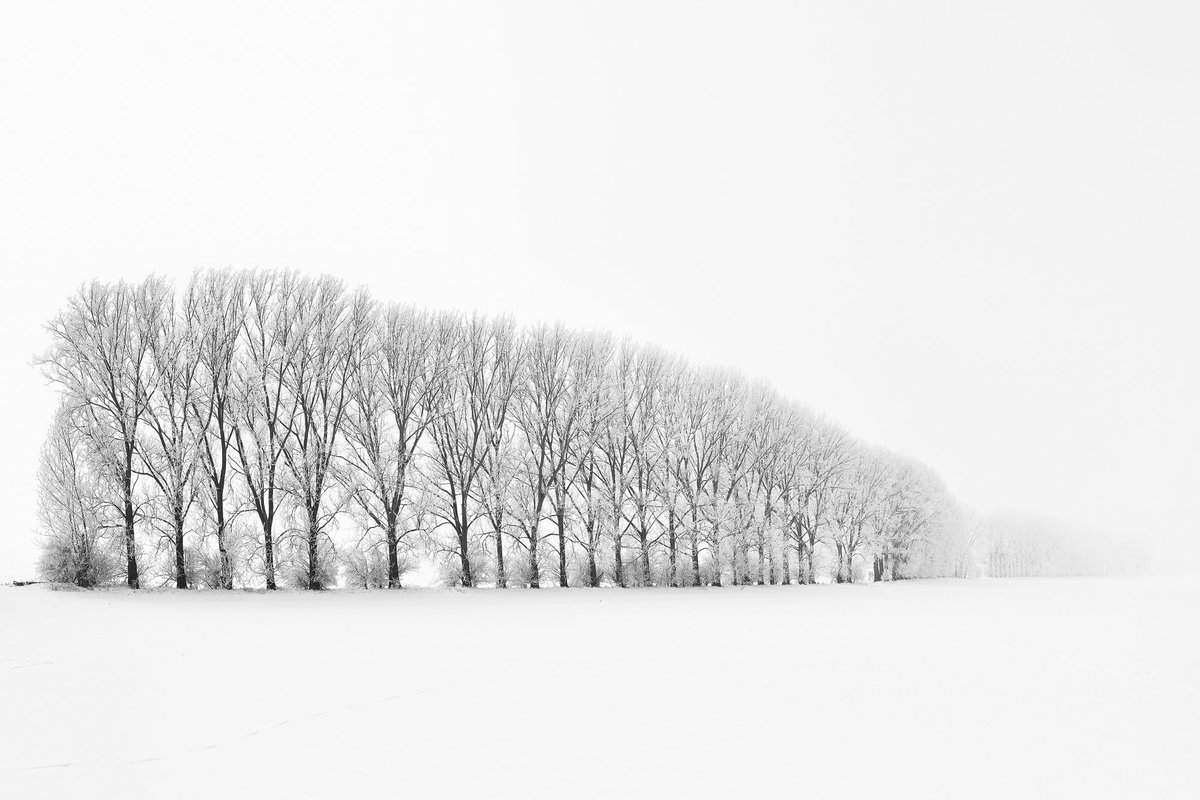 I love such overcast, foggy conditions in combination with snowy landscapes. They create an almost minimalistic and monochromatic scenery by itself. I feel like a kid in a candy store and as soon as there is snow, I’m out in the field.