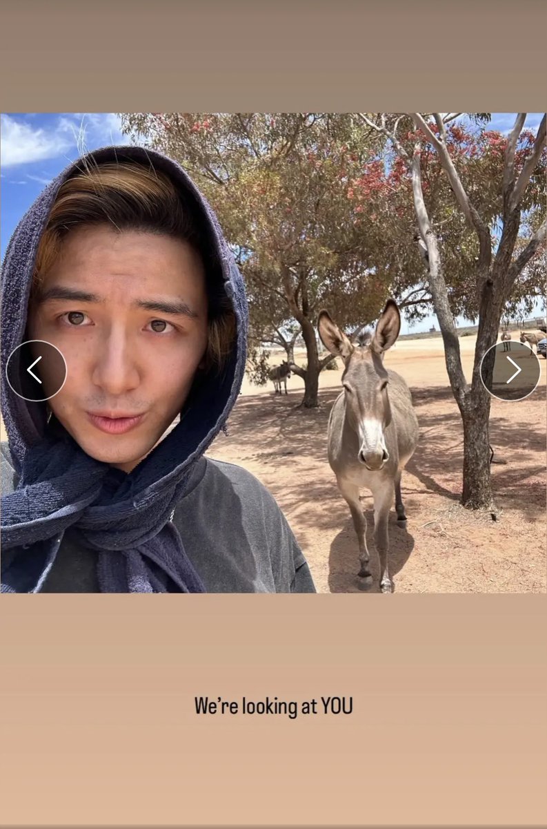 あら、正面からのロバ顔も素敵。
みーんなあなたの事見てますよ。
忘れられません。
可愛い可愛い
#藤井風FB