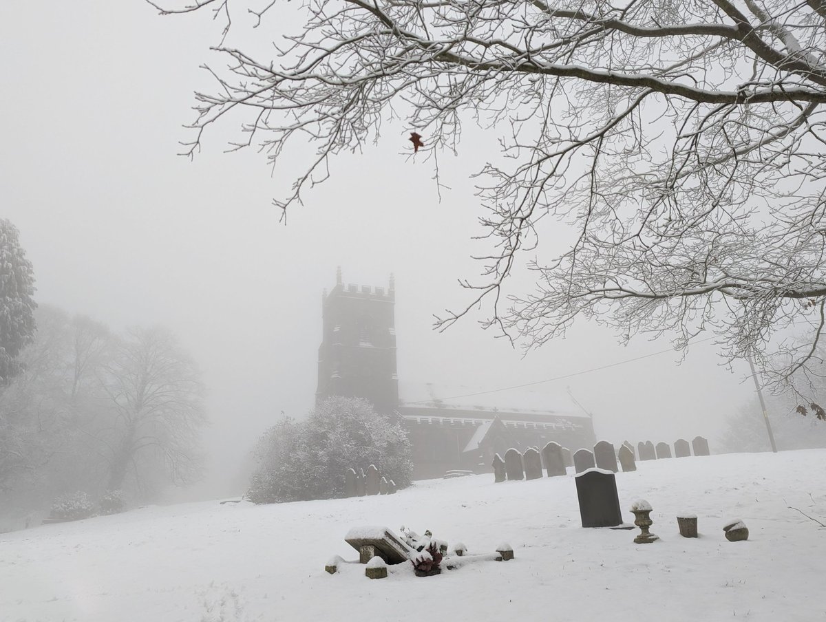 Liam Ball tweet media