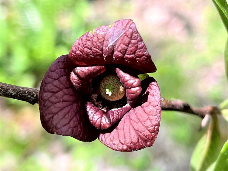 Mykl’s feed tweet media