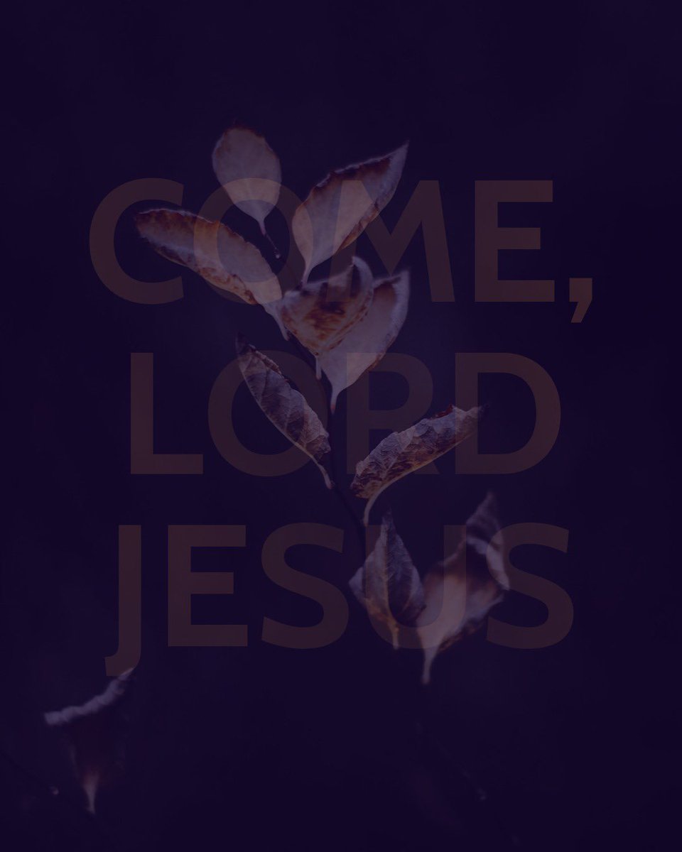 Today is the first Sunday of Advent. It marks the beginning of a season of waiting, a dark season of longing for the lights and warmth of Christmas.   

We find waiting very difficult.   

Waiting confronts the illusion that we are control. It’s very easy to believe this in our
