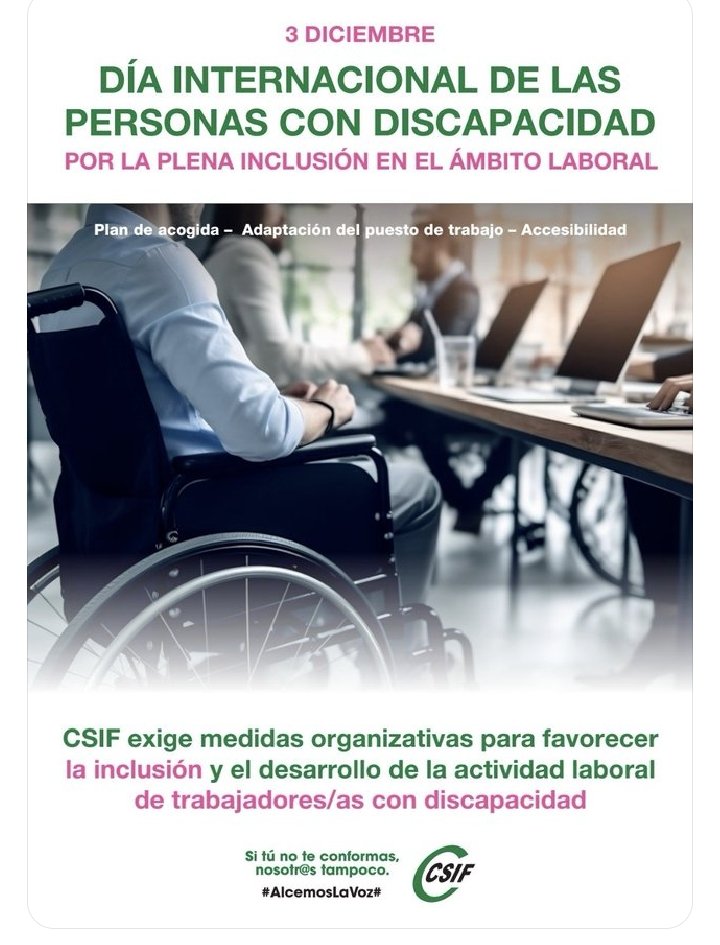 csiflleidaprimaria tweet media