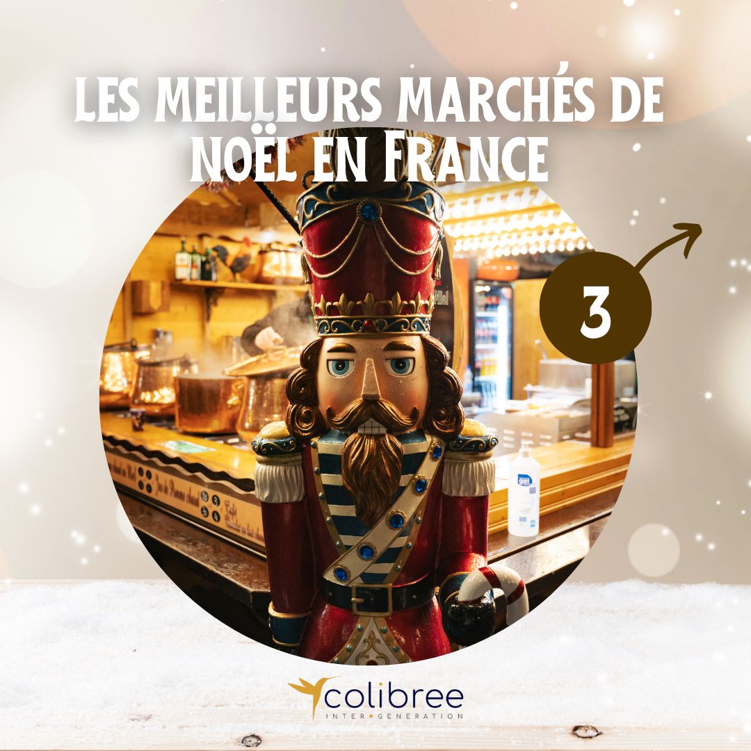 COLIBREE_Intergeneration | QVEMA saison 3 tweet media