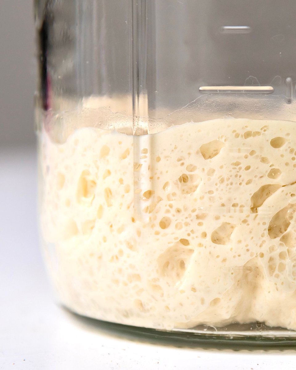 Curious about the origin of yeast? Check out our episode on the history of this useful microorganism on the Food Science Addict Podcast: buff.ly/47CJBYQ