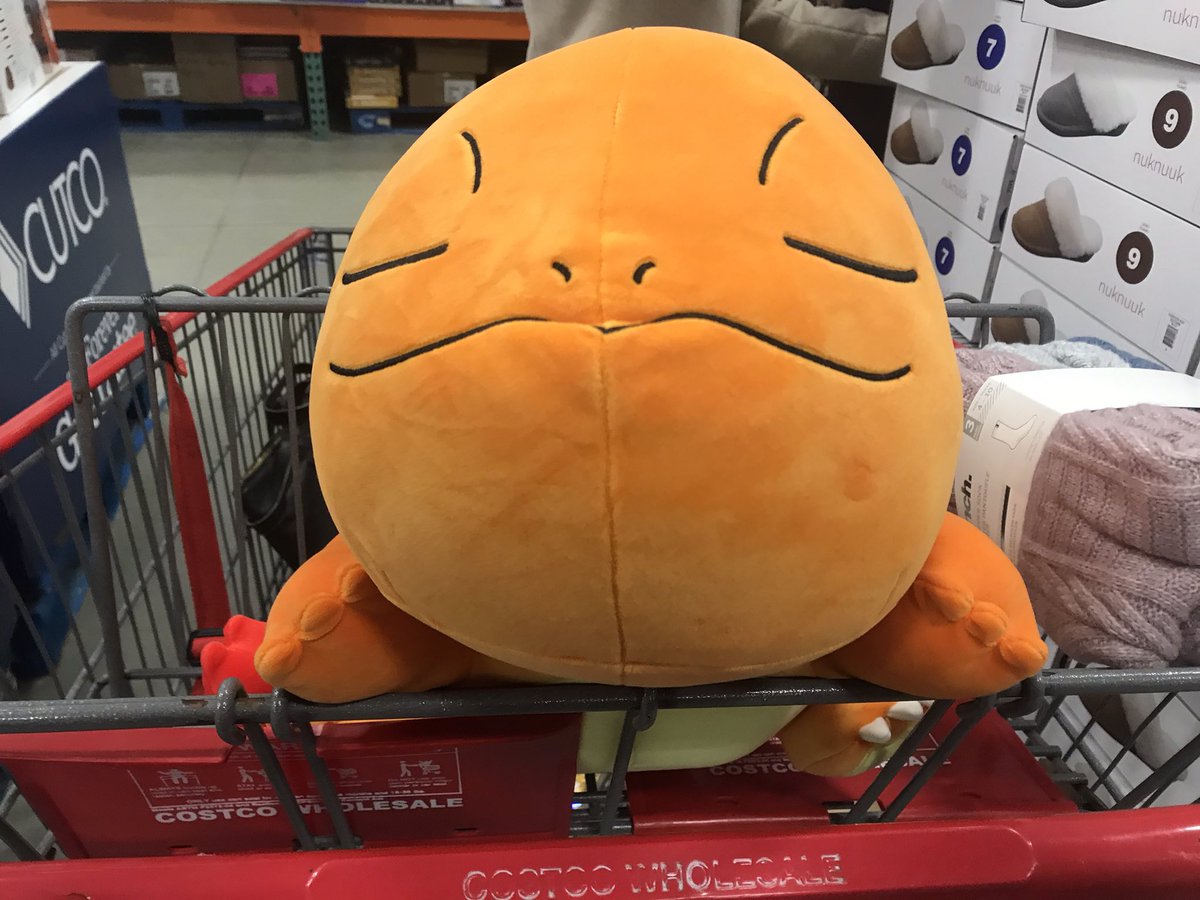 I found a sleeping Charmander plush at Costco!🥺🤩#Pokemon #charmander