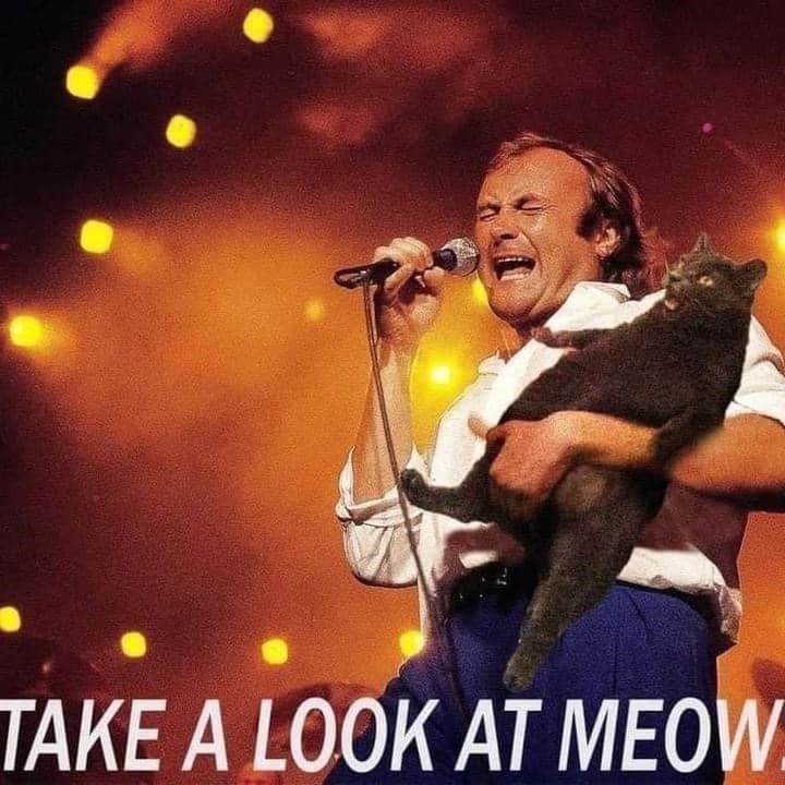 realeddmoo's tweet photo. @clownworld https://t.co/2bqO7gcbq8