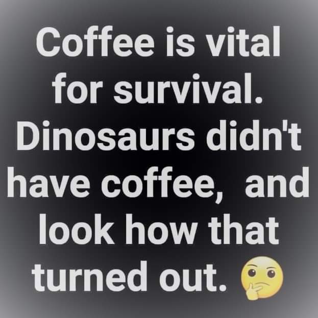Sww_75's tweet photo. @Yorkslass72 Morning WW https://t.co/b0D7Cj2m4j