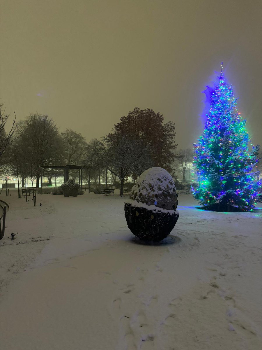 FSFundraising's tweet photo. Our Trustee Dan was out and about in the early hours this morning taking some beautiful pictures of the Setenity Garden!   Not sure you could capture the place looking more festive 🎄 https://t.co/AuJ05eVlQx