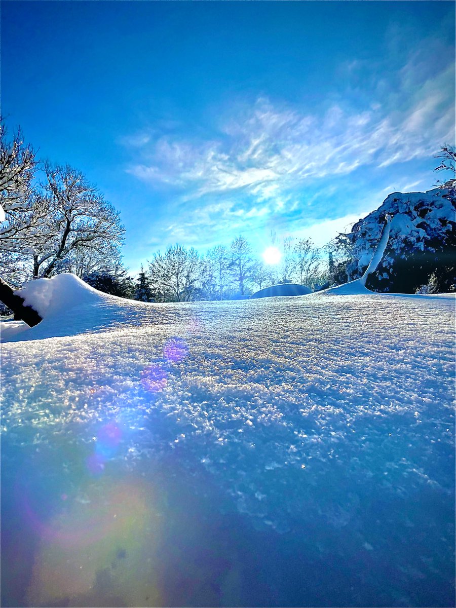 dernixweiss's tweet photo. Der Winter ❄️ 

#Winter #sonne #winterzauber #Schnee #bluesky https://t.co/f9SnnZZfkw