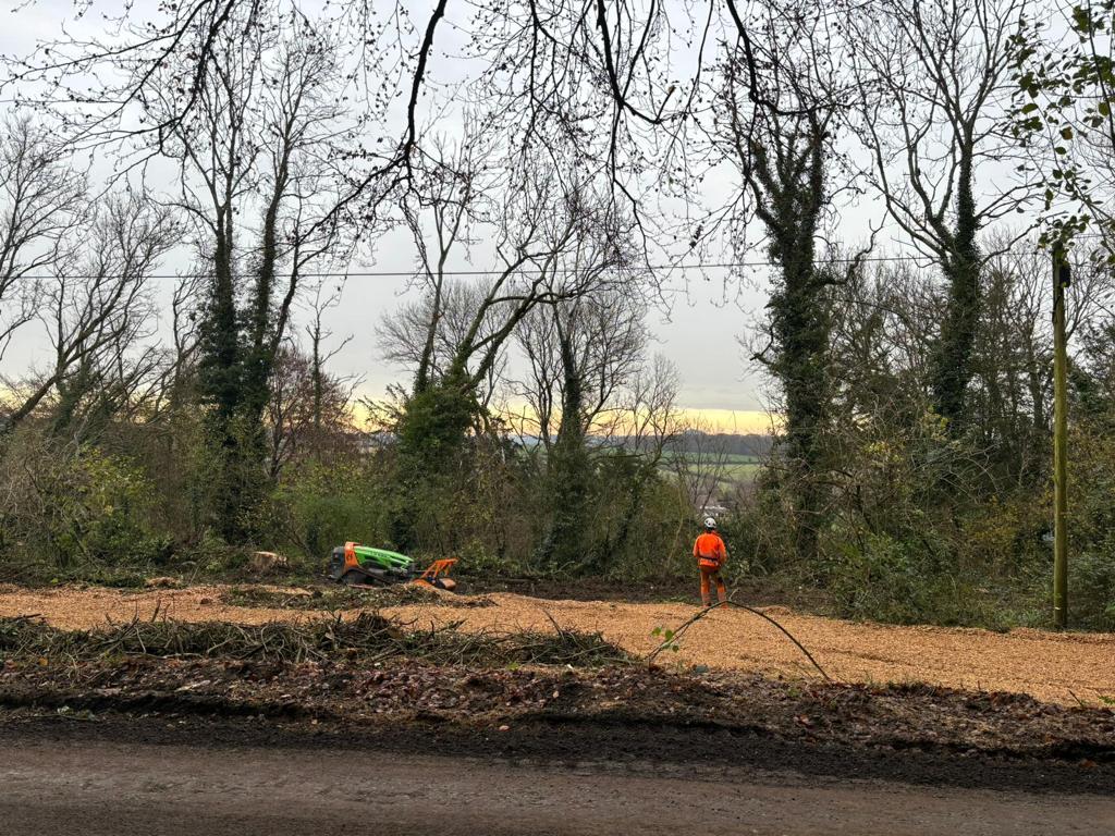 Adam Bryant tweet media