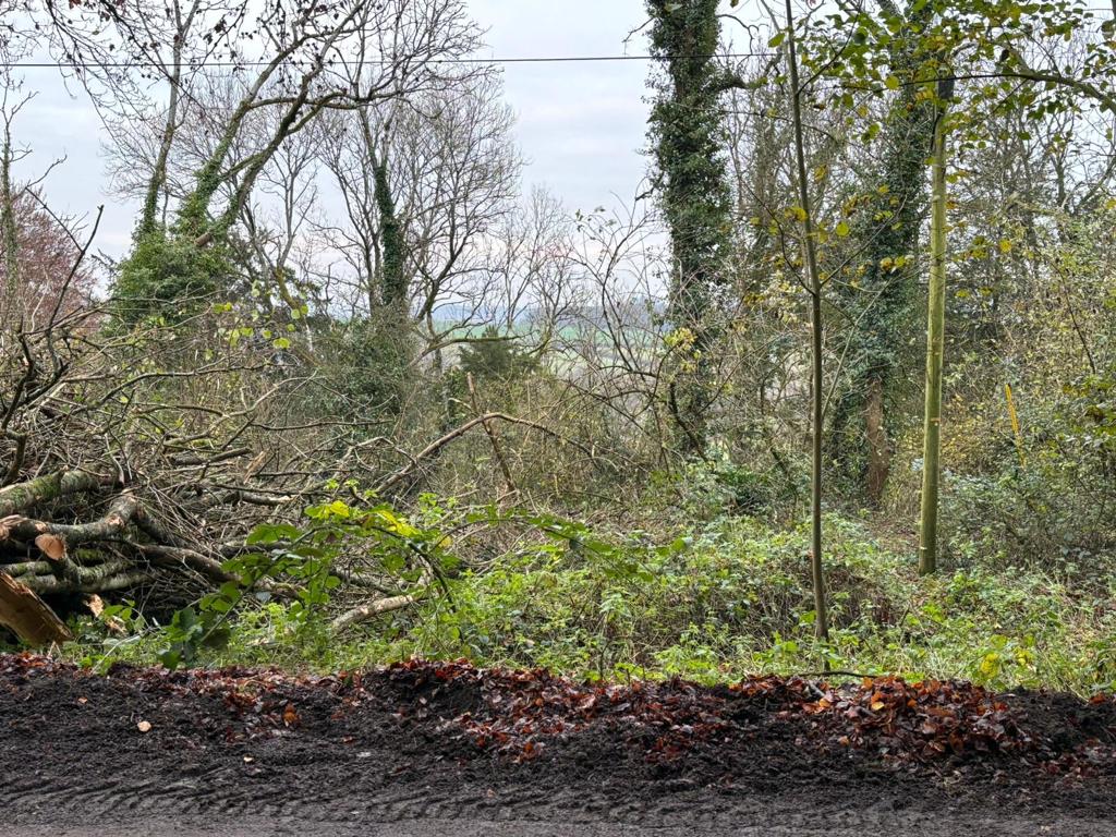 Adam Bryant tweet media