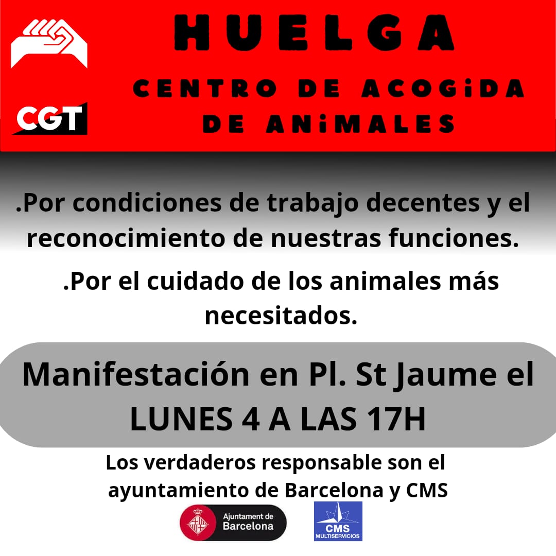 CGT Barcelonès Nord tweet media