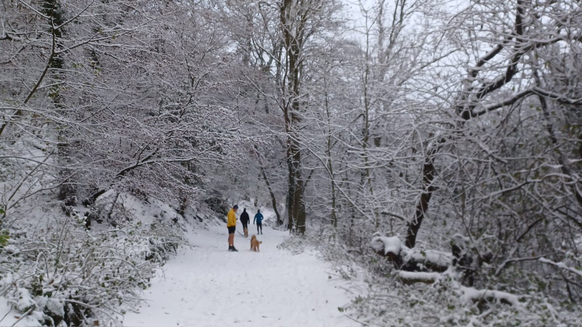 Stephen France tweet media