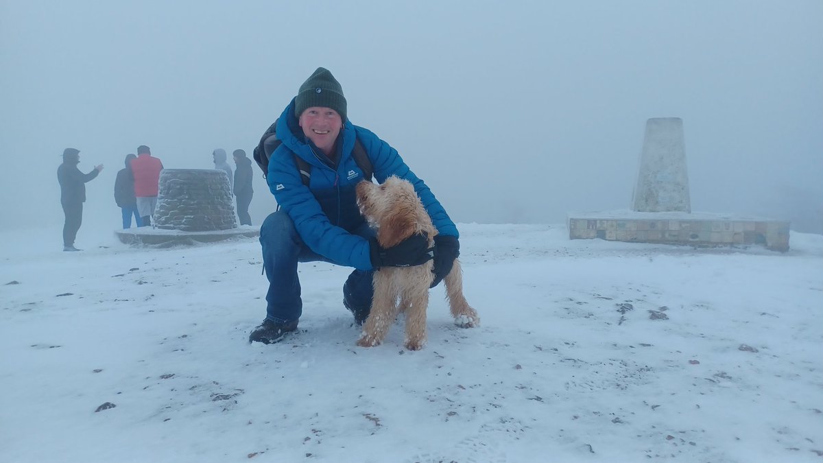 Stephen France tweet media