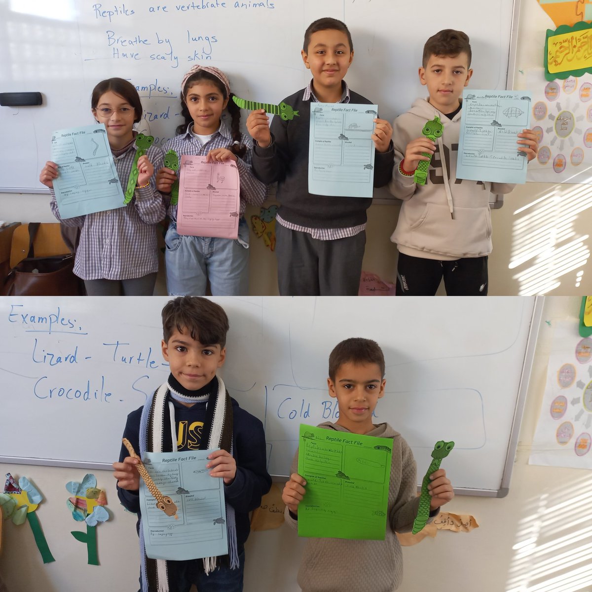 SamahGhorabi's tweet photo. "The art of teaching is the art  of assisting discovery."
Grade 4 learners  discovered the characteristics of reptiles then they modeled a snake 🐍.
@makdawhaschool @raefa_jomaa @soha_nj https://t.co/NwSvg9cyCy