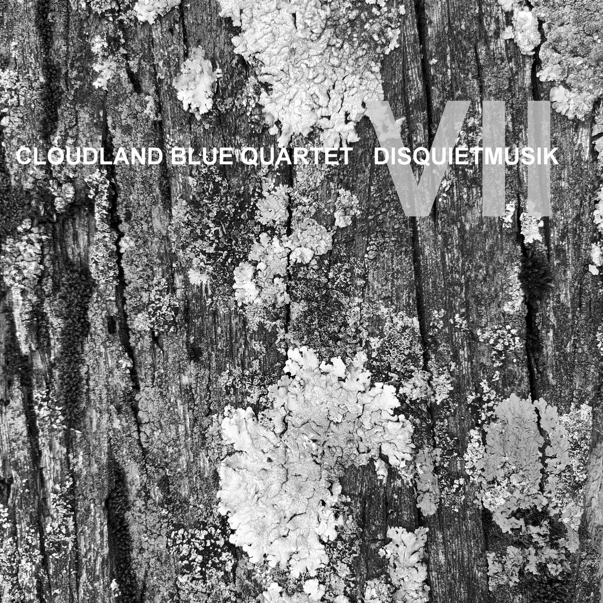 Misterquartet's tweet photo. Cloudland Blue Quartet: "Disquietmusik I-VII" (2017-2023) #Frippertronics
Volume VII just released
Free to stream/Name Your Price to Download - each download bundle includes hours of bonus material
Collect the set - find them here:
https://t.co/gjsmkY8GNe https://t.co/ssSEoPIc8V