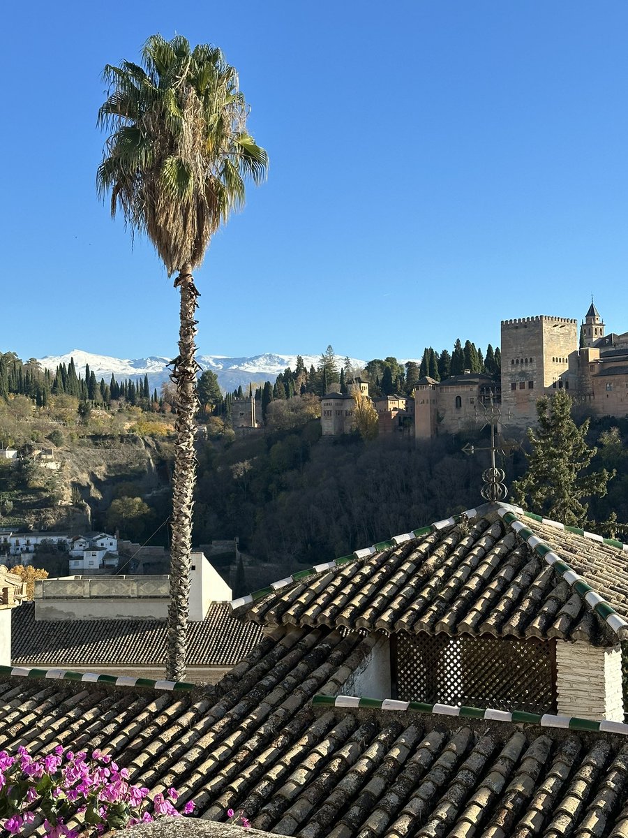 pateandogranada's tweet photo. Granada es nieve, es palmera, es fortaleza y palacio, es buganvilla y es glicinia, es un paraíso al otro lado de la celosía que cada vez más personas se animan descubrir… ✨ https://t.co/uzTALTuzbd
