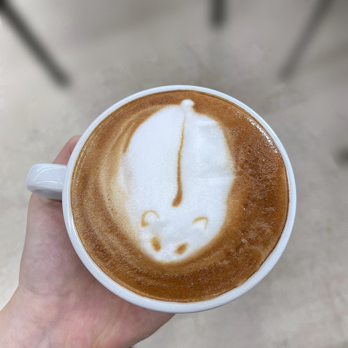 ハムスター姫 🐹 tweet media