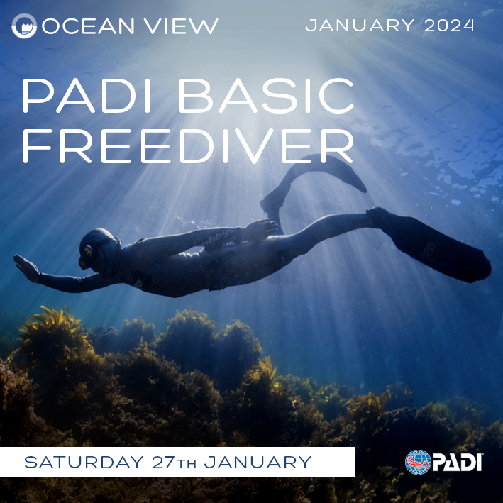 oceanviewdiving's tweet photo. PADI Basic Freediver
Saturday 27th January 2024
Taking the Basic Freediver course is your first step toward discovering why freediving is becoming a popular way to explore beneath the waves.
#oceanviewdivingservices #padibasicfreediver #freediver

https://t.co/Os9zczWdK0 https://t.co/Dq2U8aIjRP
