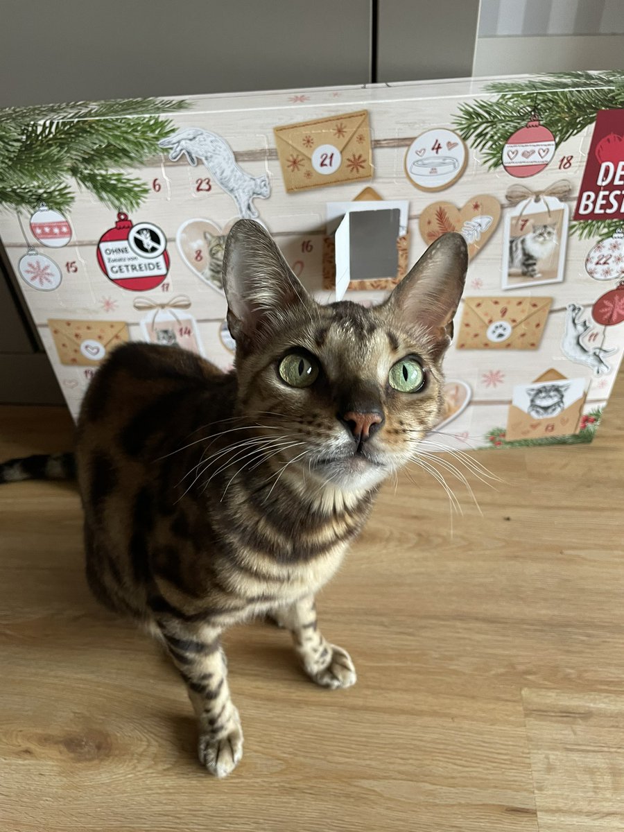 Machen wir jetzt mal auf hier??? 😼