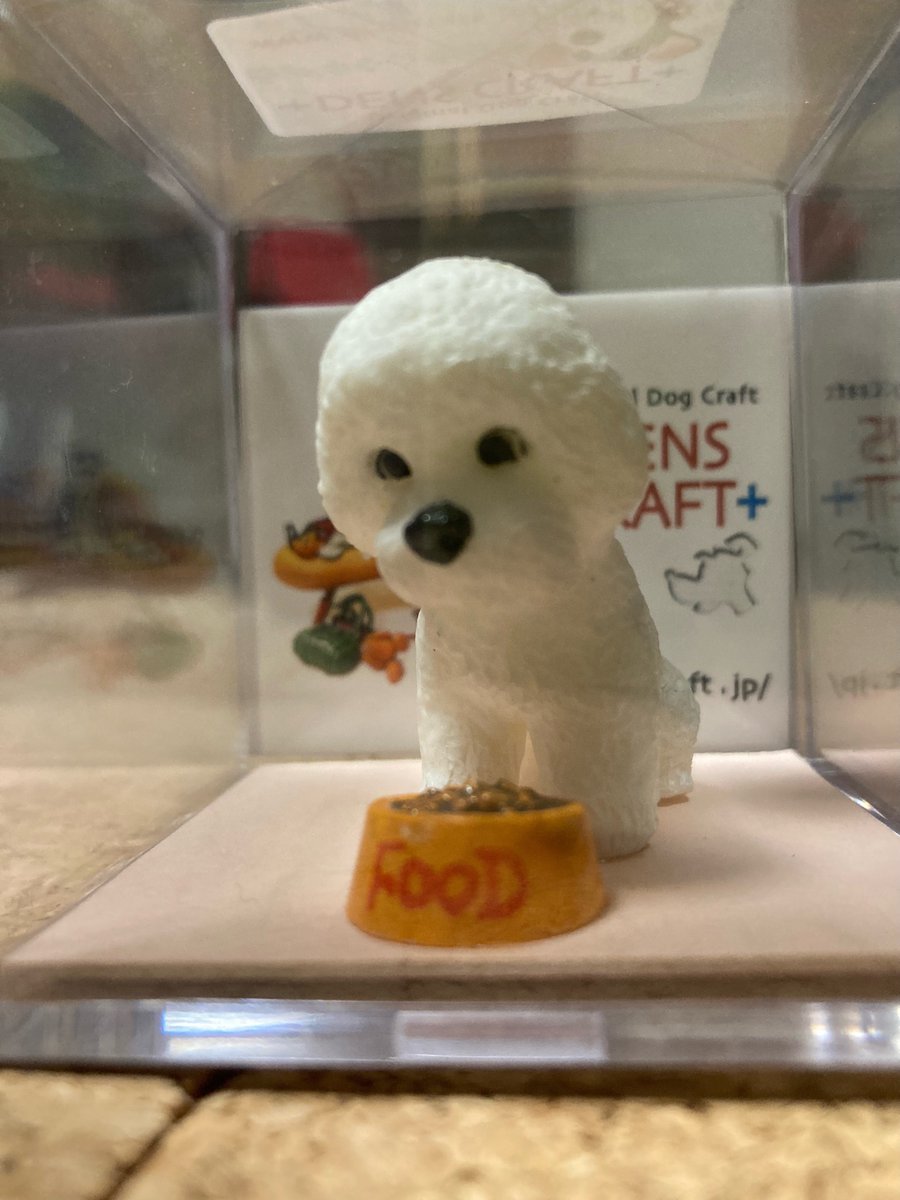 blanc__papa's tweet photo. ママさんにプレゼントしました🎁
#ビションフリーゼ #ビションプー #犬のいる暮らし #フィギュア #DENSCRAFT https://t.co/toznbQmeiq