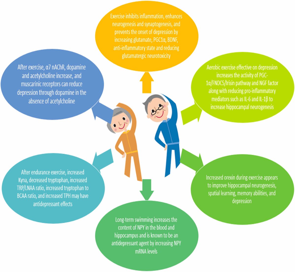 Possible role of exercise therapy on depression: effector neurotransmitters as key players

👇👇👇

sciencedirect.com/science/articl…