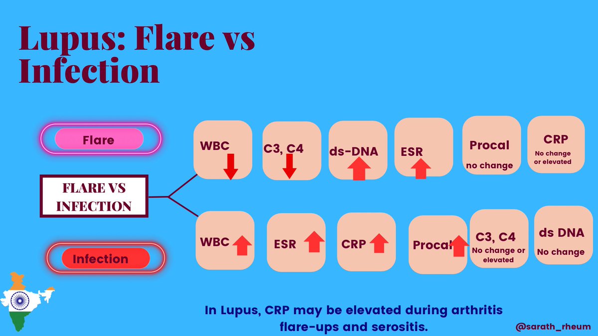 Distinguishing Lupus Flares from Infections: How?