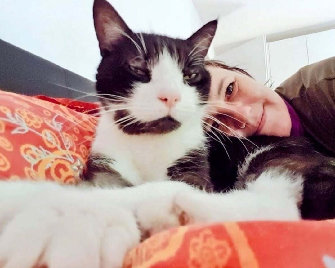 Puddingkatze's tweet photo. I liked Pancake a lot because he reminded me of my beloved Bruno.

Losing a pet is always hard, but Pancake was few too young!
It's a small reminder of old Twitter when you cry about a cat you've never met.

Dear Paris, my thought are with you and the rest of the brood. https://t.co/2l1H85mo1L
