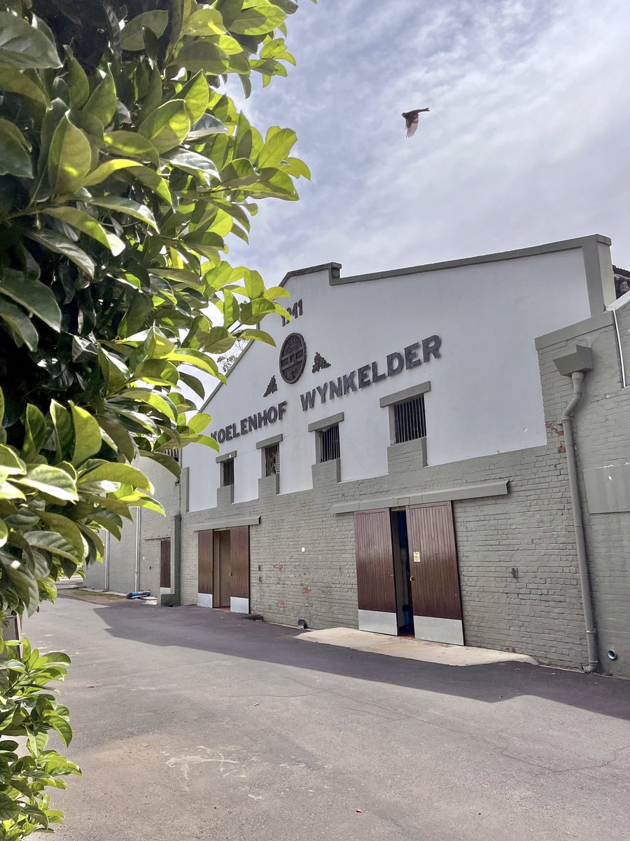 Sorbet &amp; Wine Pairing at Koelenhof Cellar

Experience a Stay &amp; Play Summer in Stellenbosch at #KoelenhofCellar, where the sorbets &amp; gelatos not only cool down the moments, but leaving you with heartwarming and satisfying memories. 

swirlandspice.wine/2023/12/02/sor…