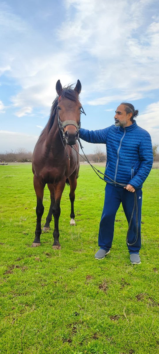 Yarım kalmayacak… Baturkhan
#hayrabolu <a href="/_TJK_/">Türkiye Jokey Kulübü</a>