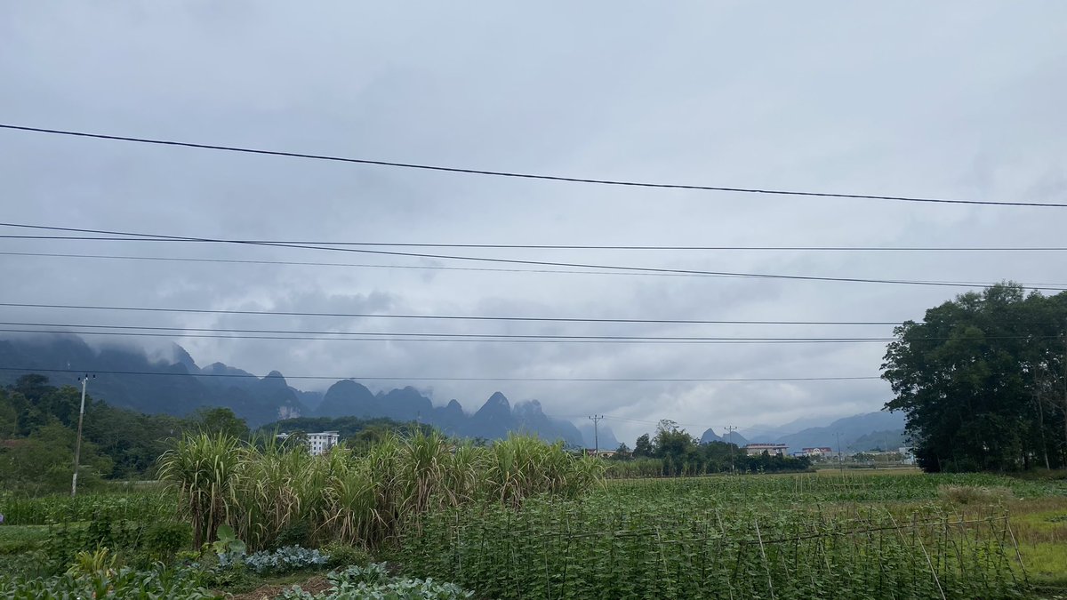 toan268's tweet photo. View triệu đô ��
#Folllow #cheotwitter #cheo https://t.co/VeudbSBZz0