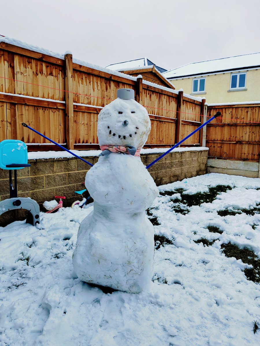 When life gives you snow....