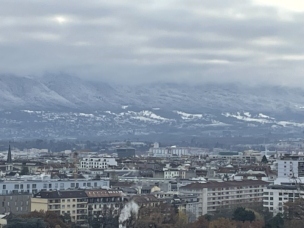 Noel White tweet media