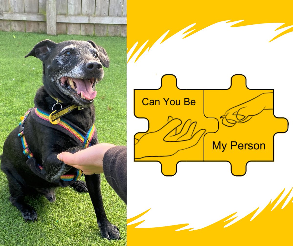 DogsTrust West Calder (Edinburgh) and Dundee tweet media