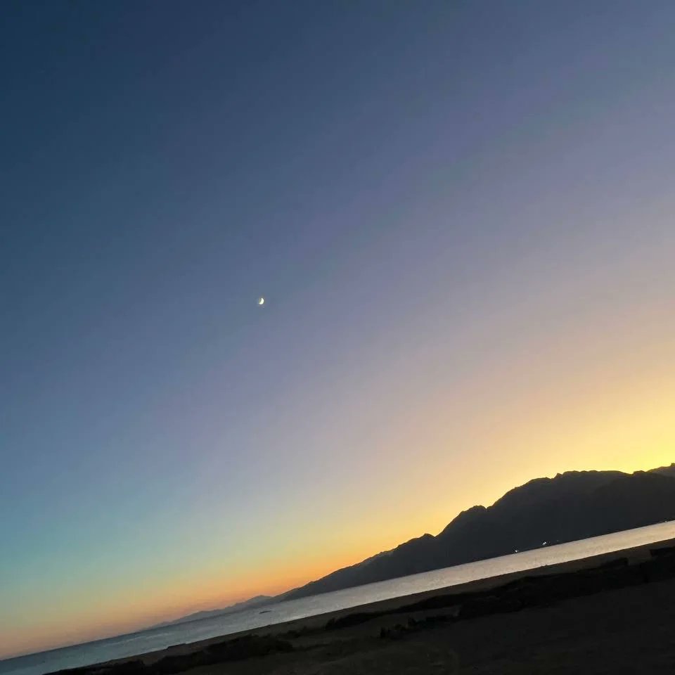 اطمئن : فإن لك رباً يدبّر الأمر أفضل مما تدبّره لنفسك.✌️🤍
