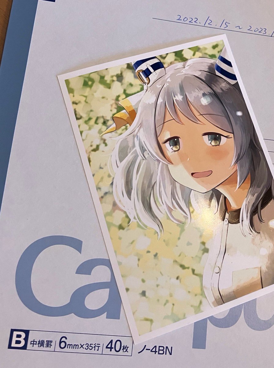 ヒシミラクル「ヒシミラクルの写真の現像があがってきたので新刊の表紙遊びをした 」|たるひのイラスト