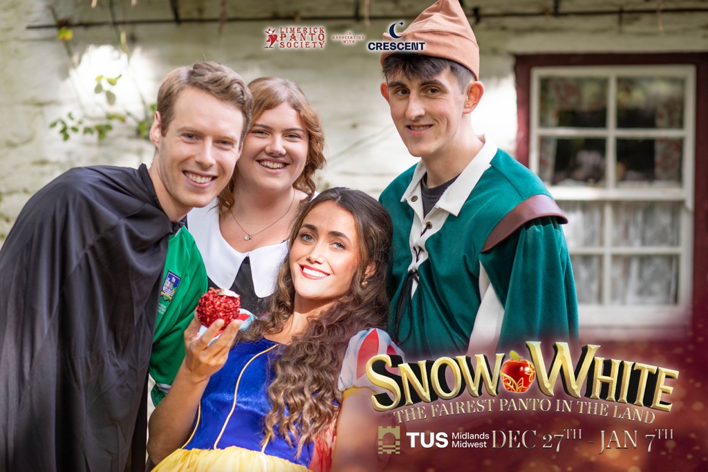 Limerick Panto Society tweet media