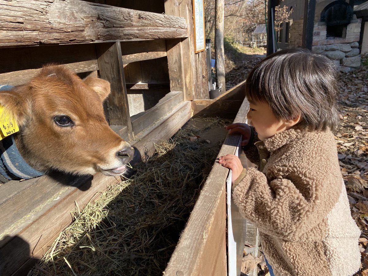 achoo_u8's tweet photo. 息子2歳の誕生日旅行🥰 https://t.co/WWBYQQ7uOp