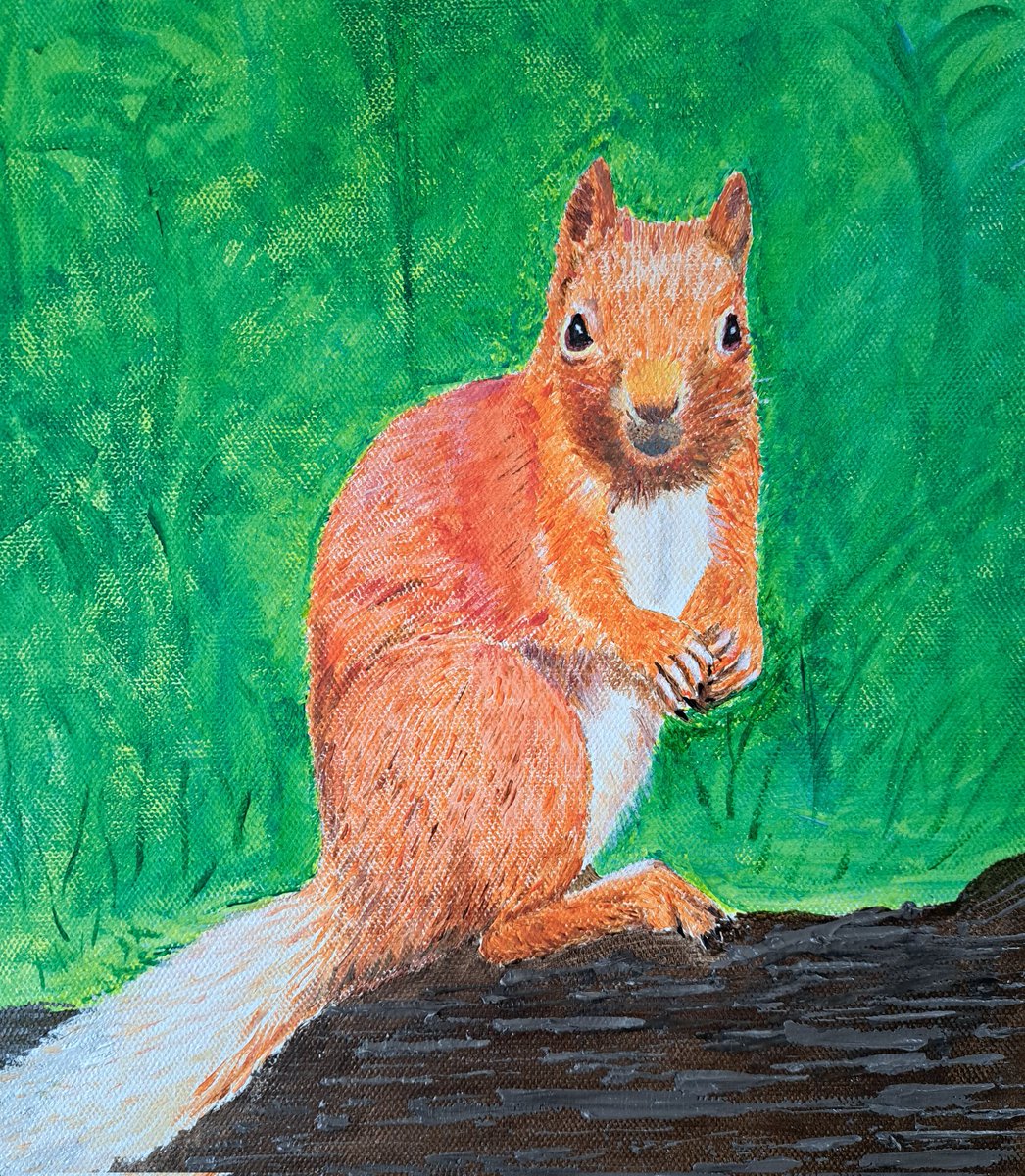 Jabquick's tweet photo. Red Squirrel by Q https://t.co/o5A8eEDAzu