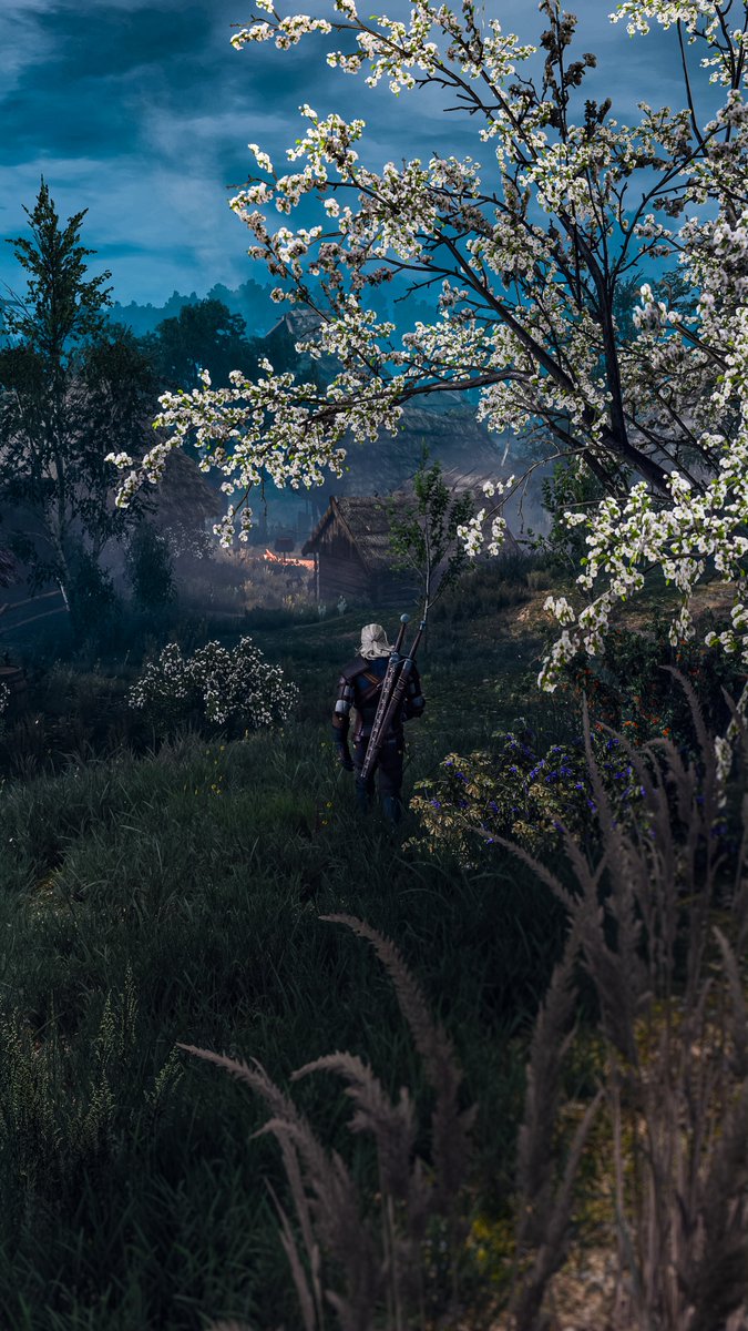 The Witcher 3 / PS5 🍃