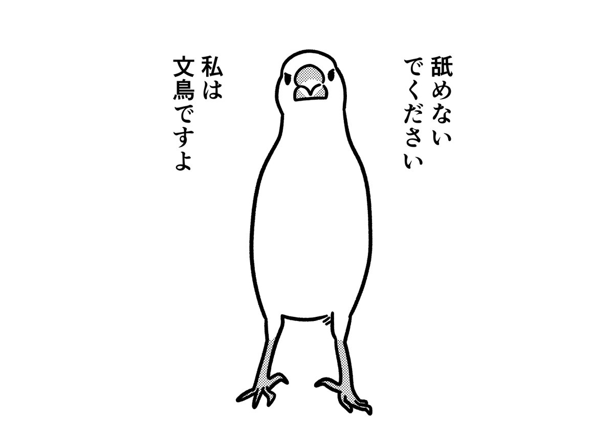 なんか怖い文鳥 