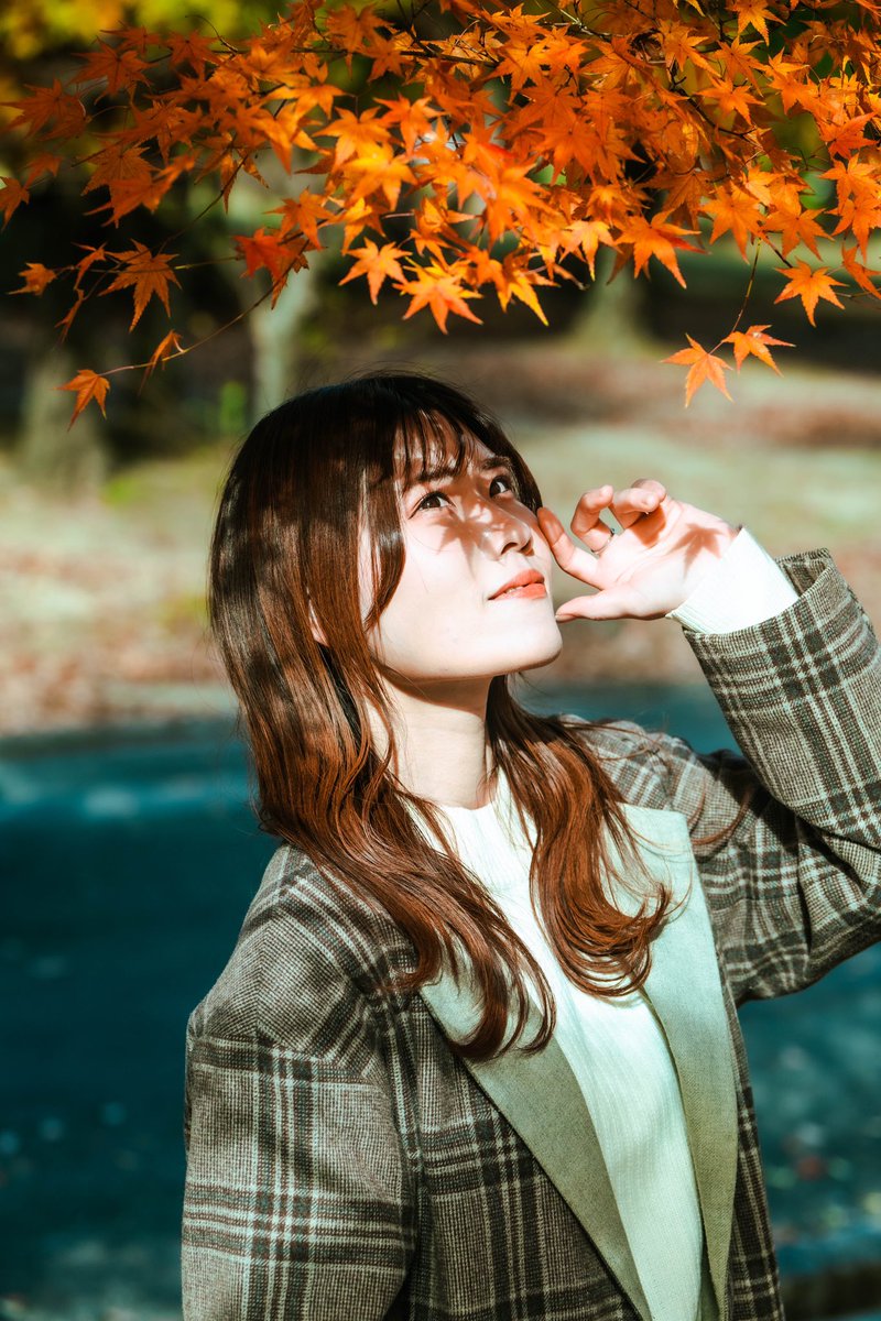 skriller09's tweet photo. 紅葉と影🍁🍁🍁
@c7_lily 

#ポートレートが好きな人と繋がりたい 
#被写体
#宣材写真を撮りたい
#ファインダーの越しの私の世界 
#インフルエンサーと繋がりたい https://t.co/iABNFmo4rl