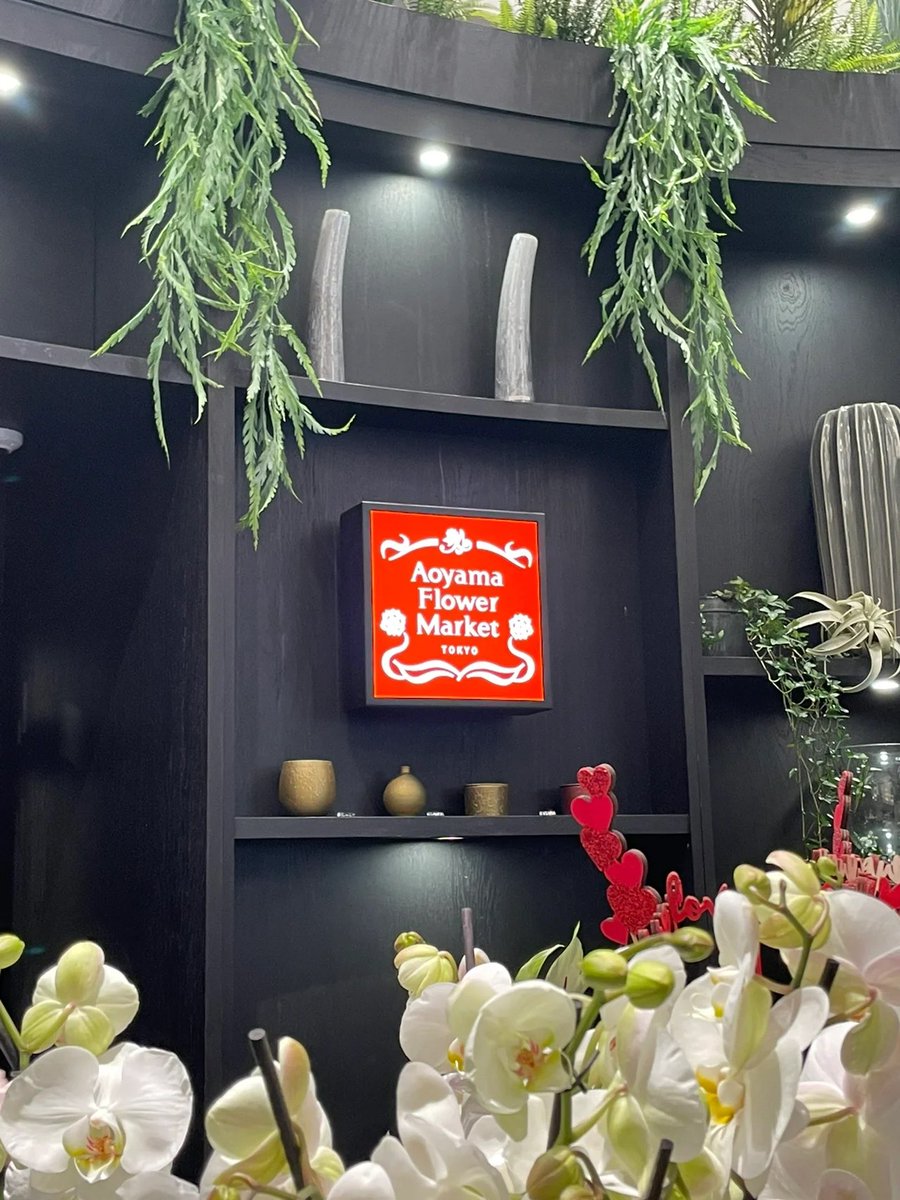 rem49er's tweet image. I know how much my mother loves flowers. I think it would be wonderful for her. Sometimes the simplest gesture can bring the most joy.