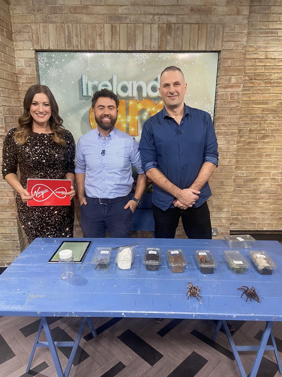 CREEPY CRAWLIES The ‘Bug Doctor’ Dr. Michel Dugon introduces us to some critters he works with! 🦂 #IrelandAM