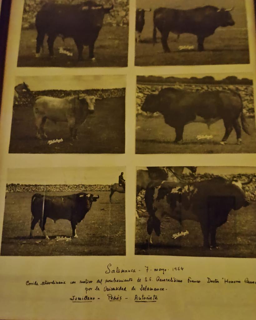 Sanchez-Cobaleda tweet media