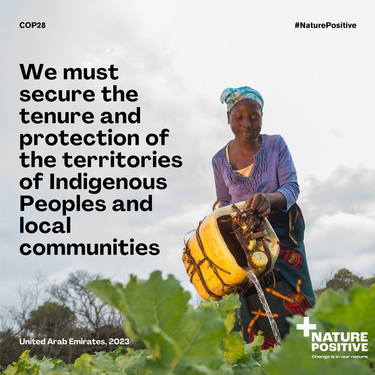 Trillion Trees tweet media